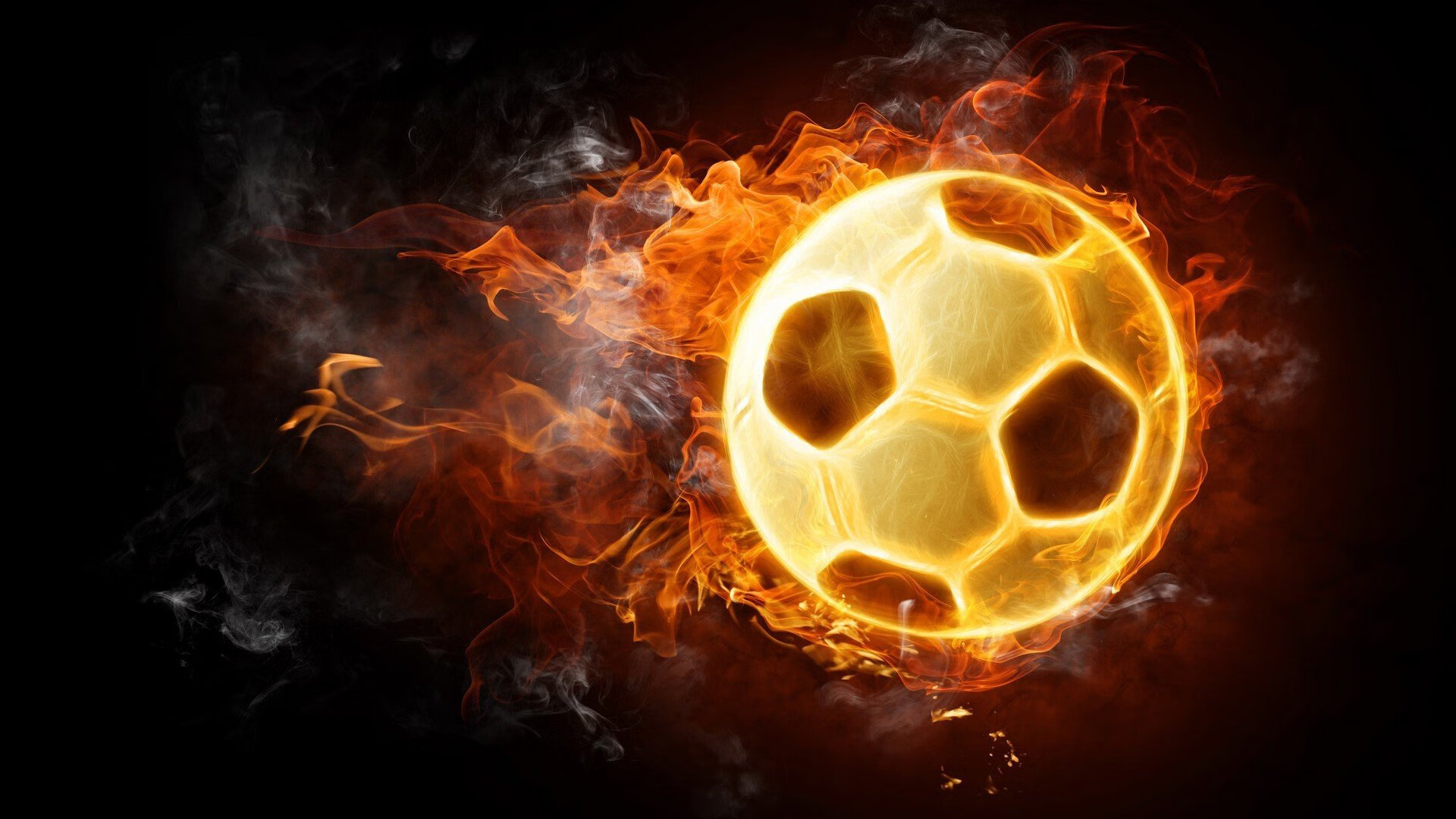 新人崭露头角，未来之星的强势崛起！，未来之星怎么解释