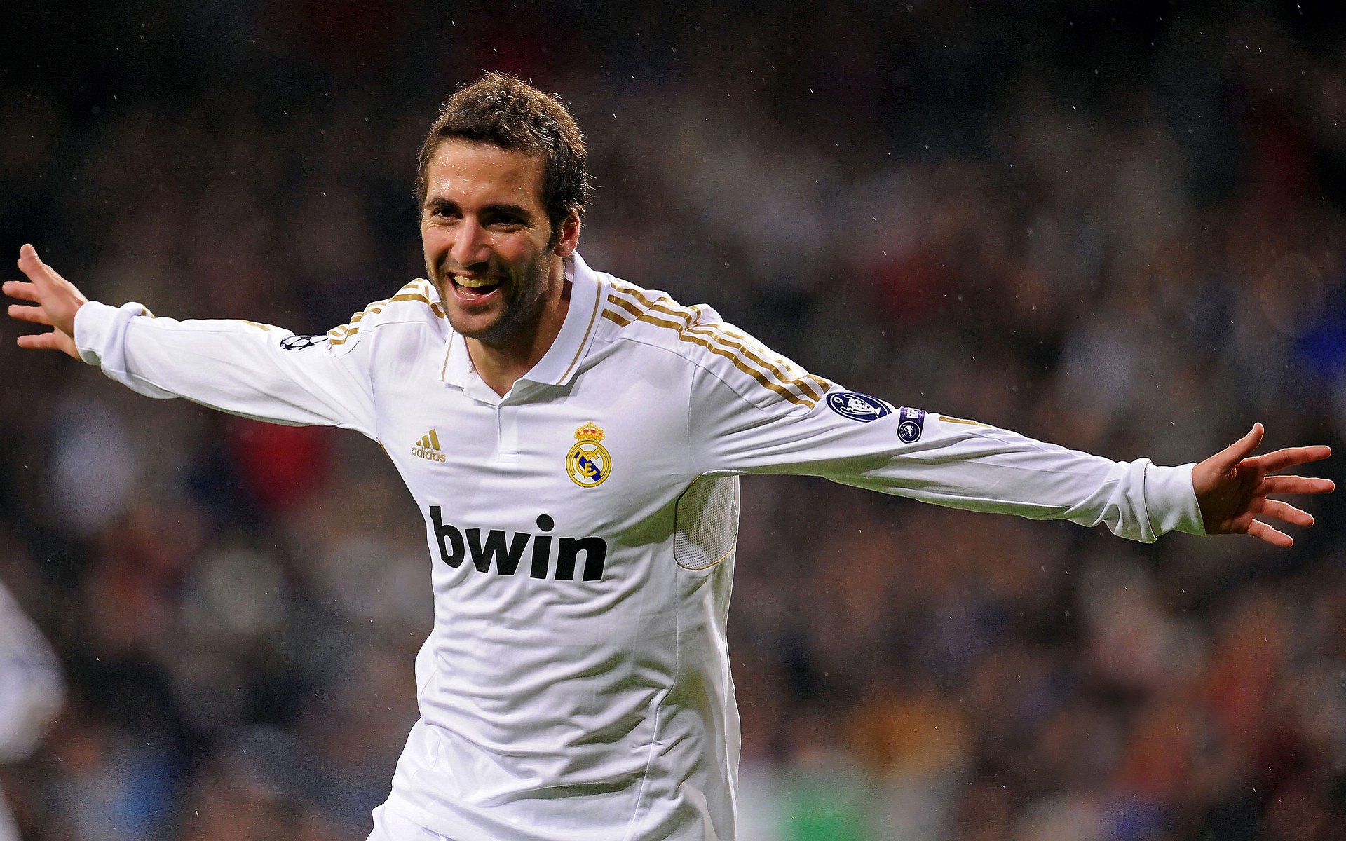 新人崭露头角，未来之星的强势崛起！，未来之星怎么解释